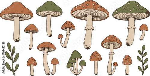 Hand Drawn Mushroom Illustration Collection vector set