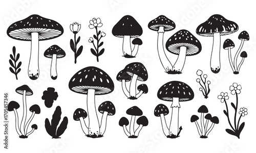  Mushroom silhouette  Illustration Set