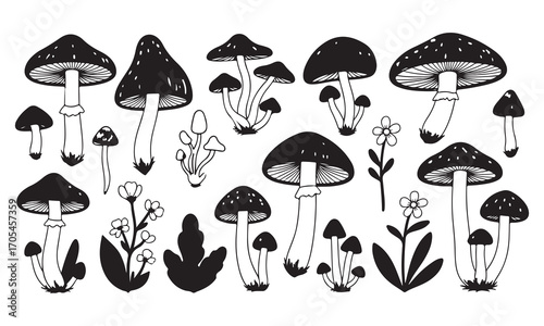  Mushroom silhouette  Illustration Set