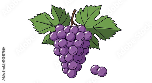 Bunch of purple grapes with leaves and two loose grapes.