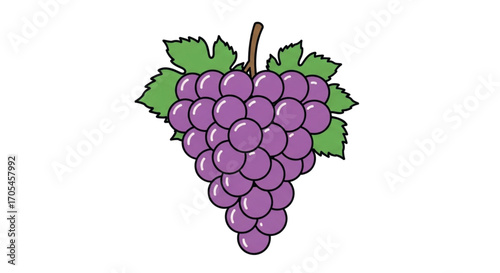Bunch of Ripe Purple Grapes with Green Leaves.