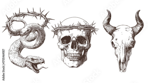 Skull with Snake Crown of Thorns and Horns Set for Creative Designs