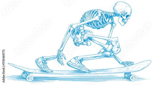 Skeleton Skater Vector with Outline Isolated on White Background