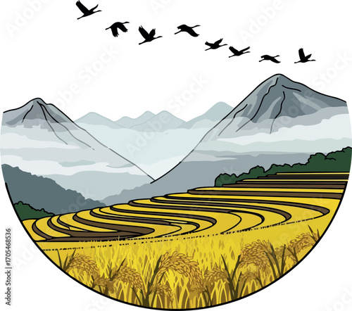 Rice Fields and Mountain Scenery - Serene Harvest View.