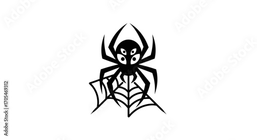 Black spider with four eyes on a spiderweb.