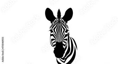 Striking black and white zebra head illustration minimalist design.