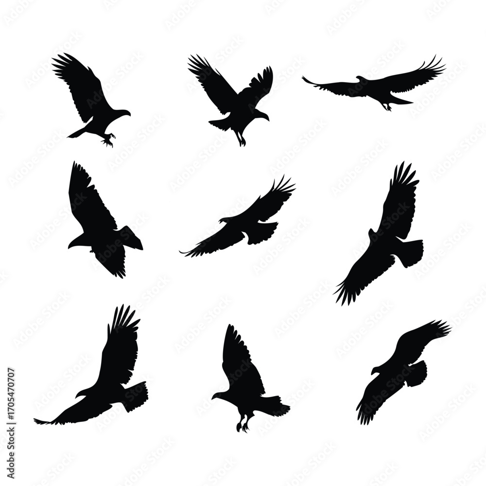 Fototapeta premium Silhouettes of Eagles and Vultures in Flight and Landing Poses