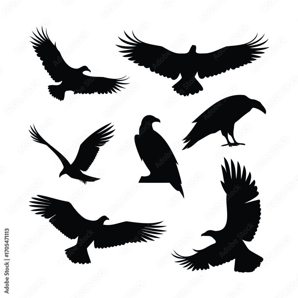 Fototapeta premium Silhouettes of Eagles and Vultures in Flight and Landing Poses