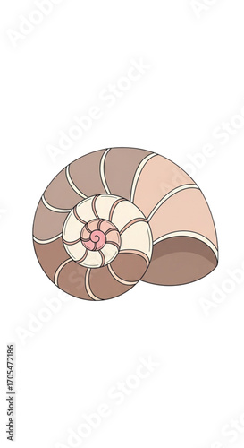 Nautilus Shell Spiral Pattern.