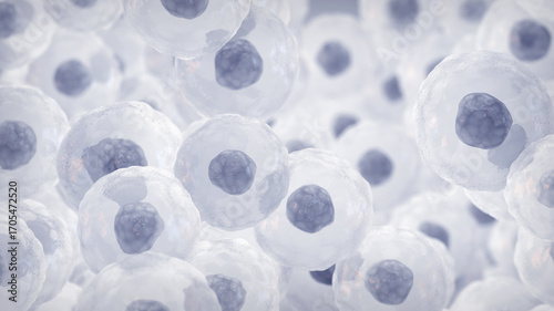 Mesenchymal stem or stromal cells (MSC). Embryonic stem cells concept. Targeting cancer with engineered mesenchymal stem cells. MSC based immunotherapy and cancer treatment