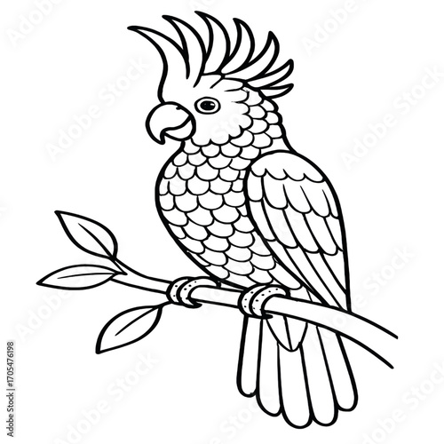 A cockatoo illustration vector style coloring page