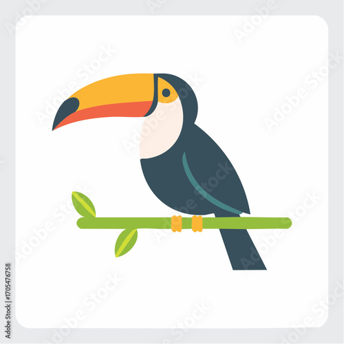 Toucan Bird With Orange Beak Perched On Branch