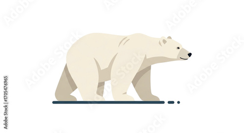 Polar Bear Walking on Ice.