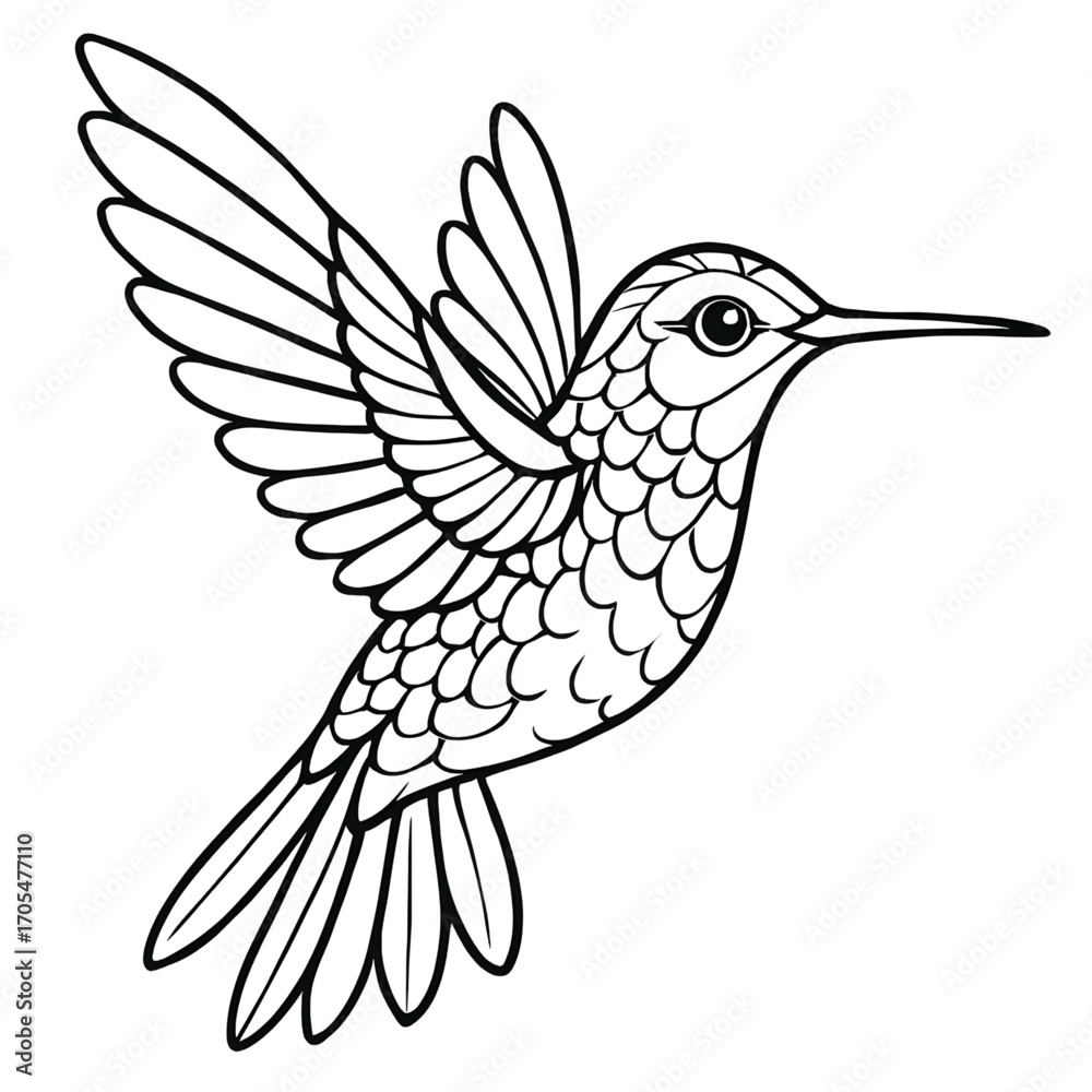 Obraz premium A hummingbird illustration vector style coloring page