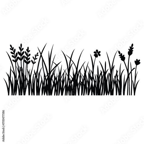 A black vector silhouette of tall grass and wild plants in a natural border style,