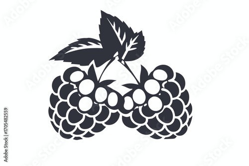 Black outlined raspberries cluster displays freshness and organic nature on the blank white background