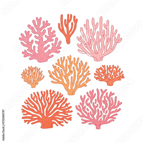 Collection of Various Coral Reef Organisms in Pink and Orange Hues.