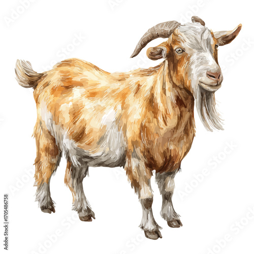 Goat, watercolor illustration vector, isolated on a white background.