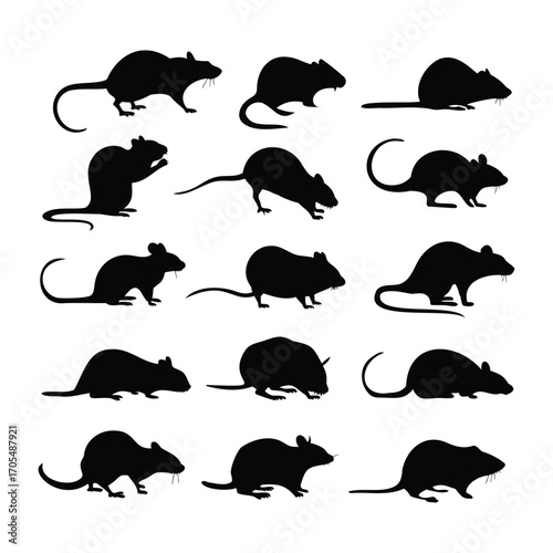 Silhouettes of Rats and Mice in Various Positions