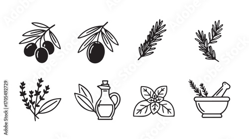 Collection of culinary herb and olive branch illustrations in a distinctive silhouette style
