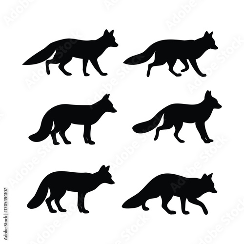 title and 50 tags with comma