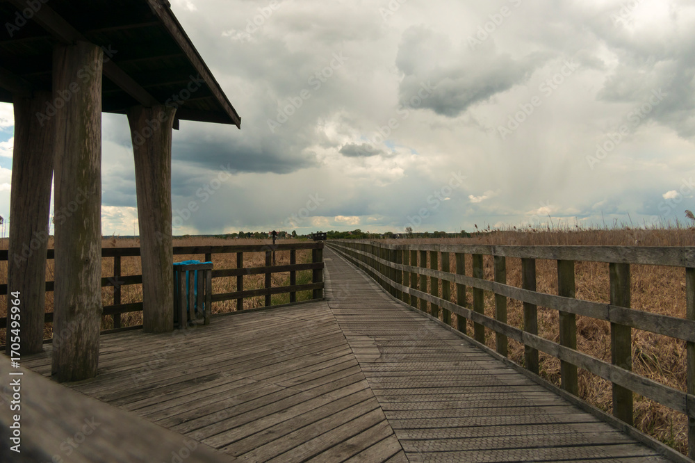 Obraz premium Paths along Narew National Park. Cloudy day.