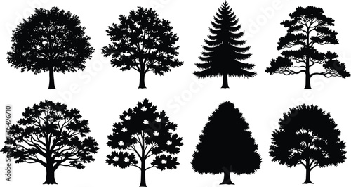 Tree silhouettes collection, black forest shapes, natural foliage clipart, woodland plants, isolated oak pine fir, landscape elements, vector art
