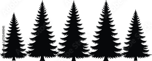 Pine tree silhouettes, evergreen forest, black trees, nature vector, conifer shapes, minimal design, outdoor theme, woodland art, tree icons, illustration