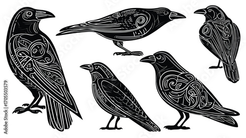 Black Celtic Raven Bird in Various Poses for Creative Designs