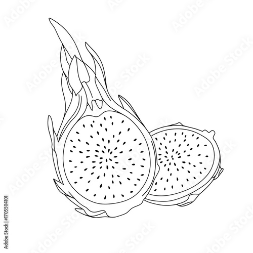 Line Art Dragon Fruit Illustration Pitaya Healthy Exotic Fruit Vegan Food Design
