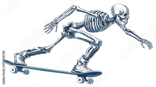 Skeleton Skater Vector with Outline Isolated on White Background