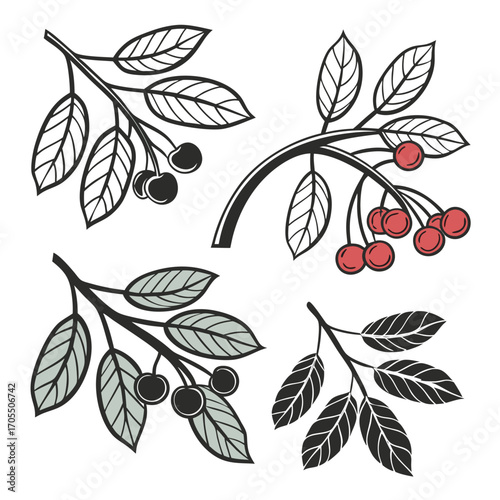 Hand drawn flat design simple flower outline
