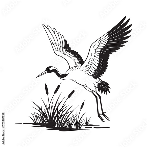 Illustration of a crane taking flight near cattails