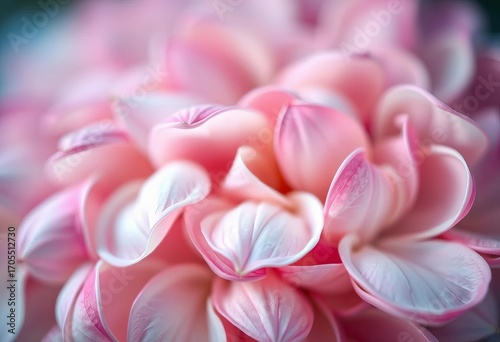 Swirling pastel petals, blurred edges, soft focus, dreamy aesthetic,   texture,   digital