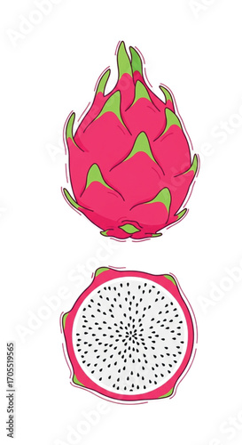 Dragon Fruit Whole and Sliced Illustration.