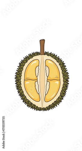 Durian fruit cut in half showing creamy yellow flesh and seeds.