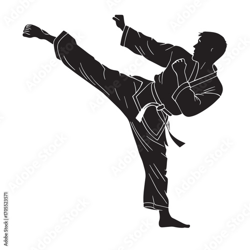 Black taekwondo Silhouette Vector, High Quality Illustration on White Background