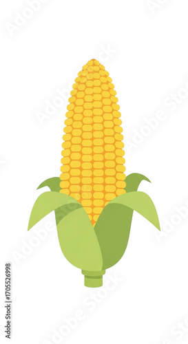 Fresh Ripe Corn on the Cob with Green Leaves.