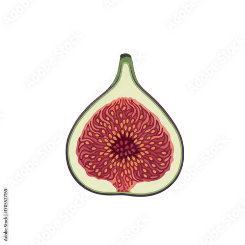 Fresh Ripe Fig Cut In Half Showing Interior Details.