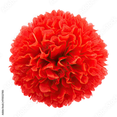 Red Tissue Paper Pom Pom Decoration Isolated on Transparent Background