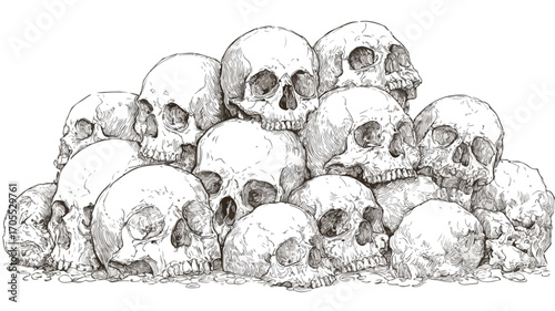 Variety of Shaped Skulls Pile Background