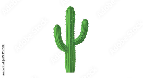 Green Saguaro Cactus Plant Isolated on White Background.