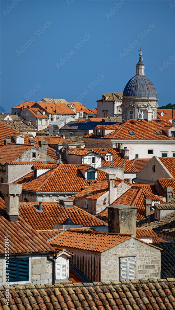 Obraz premium Dubrovniks buildings, roofs and city view 