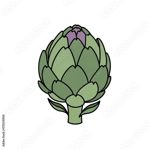 Illustration of a fresh green artichoke vegetable.