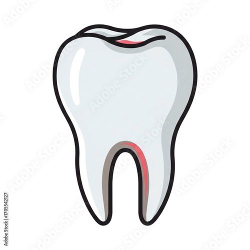 Illustration of a healthy human molar tooth.
