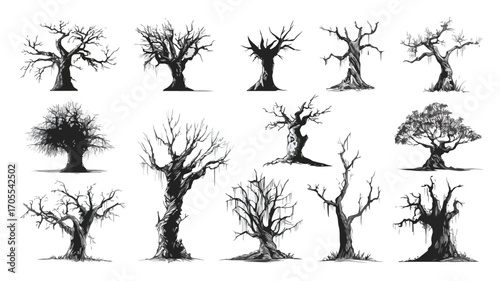 Spooky Haunted Trees Vector Cartoon Illustration Collection