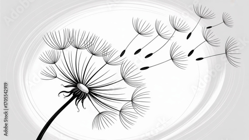 A delicate dandelion seed head with seeds blowing in the wind