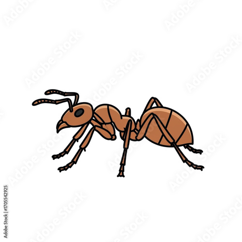 Illustration of a single brown ant on a white background.