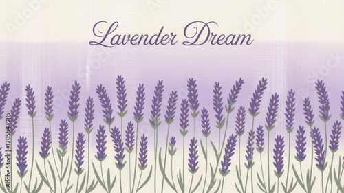 Lavender dream floral background, a serene and calming design with delicate purple flowers, perfect for spring and summer themes
