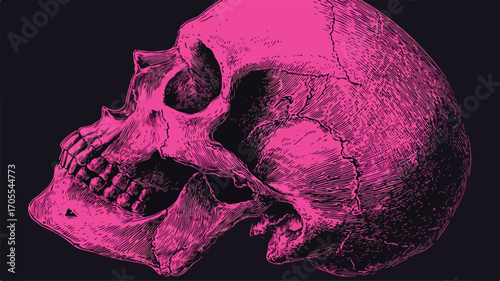 Pink Neon Human Skull in Woodcut Style Vector Art for Design Projects